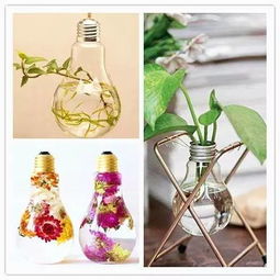 安陽(yáng)藍(lán)天工程與景觀工程的協(xié)同設(shè)計(jì)及施工探析