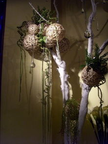 老狼花藝婚慶 經(jīng)典花藝軟裝飾設(shè)計(jì)與景觀工程的一站式服務(wù)