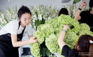 25年老牌花店的利潤(rùn)常青藤 從零售拓展至酒店、宴會(huì)與景觀工程