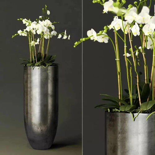 歐派軟裝 家居軟裝工程的時間規(guī)劃與花藝工程執(zhí)行指南