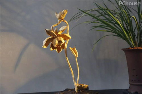 廣州看展靈感 精選軟裝與景觀工程，家居設(shè)計瞬間提升高級感