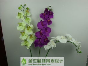 從創(chuàng)意到景觀 沈陽仿真花產(chǎn)業(yè)的全面供應(yīng)與藝術(shù)實踐